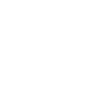Ein stilisiertes weißes Bärenkopf-Logo auf transparentem Hintergrund, ideal für Markenidentität und Webdesign.